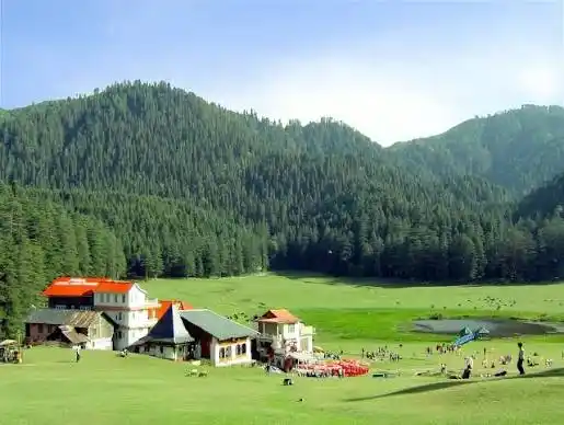Lush green meadow and pine forest landscape of Khajjiar and Chamba in Himachal Pradesh.